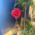 Appartement Ai Provveditori Marano Lagunare